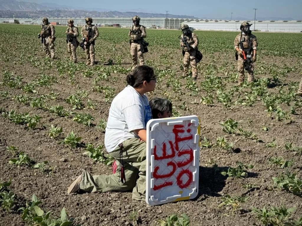Aumenta tensión en California por redadas: lo que debes saber