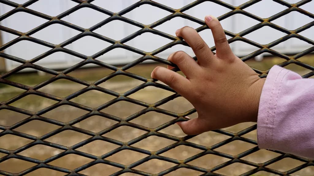 Niños migrantes quedan sin ayuda legal: ¿qué está pasando?