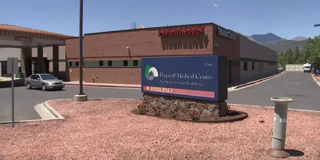 Arizona reporta caso mortal de peste bubónica: lo que debes saber