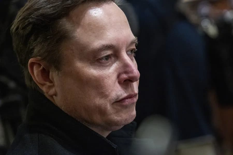 Vuelven los videos de Vine: ¿por qué Elon Musk quiere restaurarlos?
