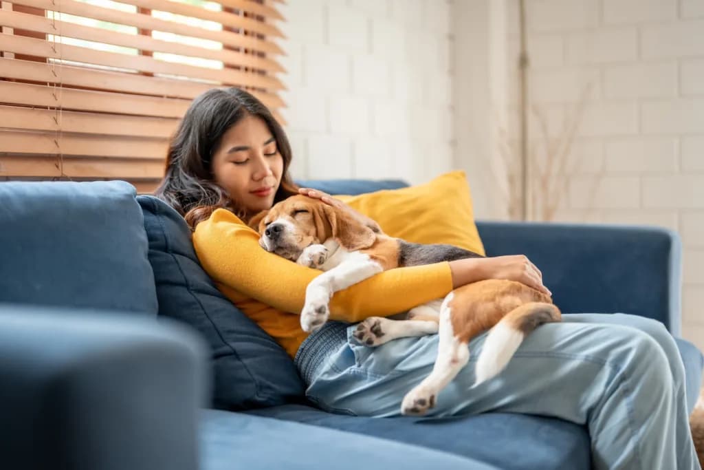 California aprueba nuevas leyes para proteger a las mascotas
