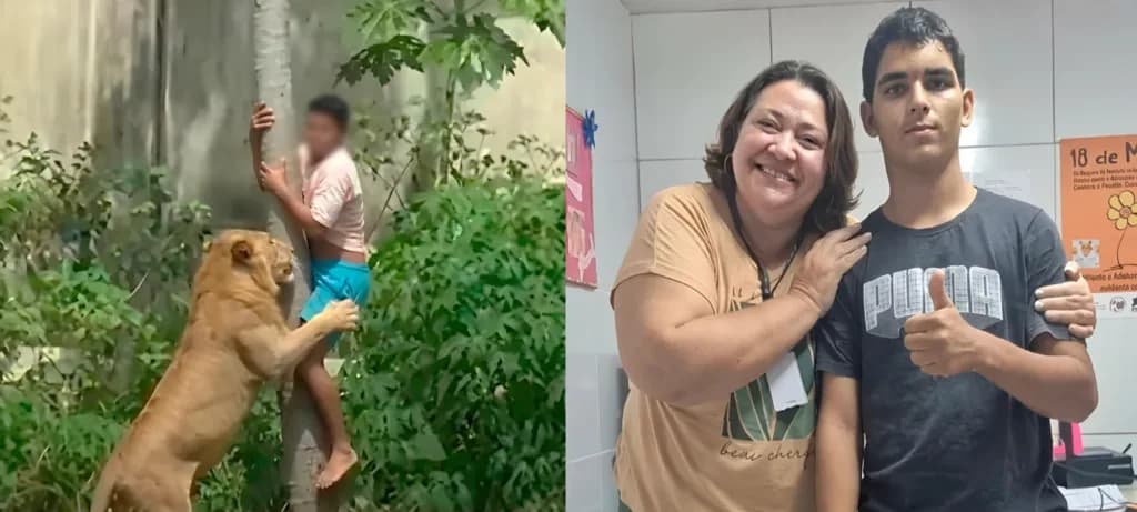 Joven muere tras caer a jaula de leona en zoológico de Brasil