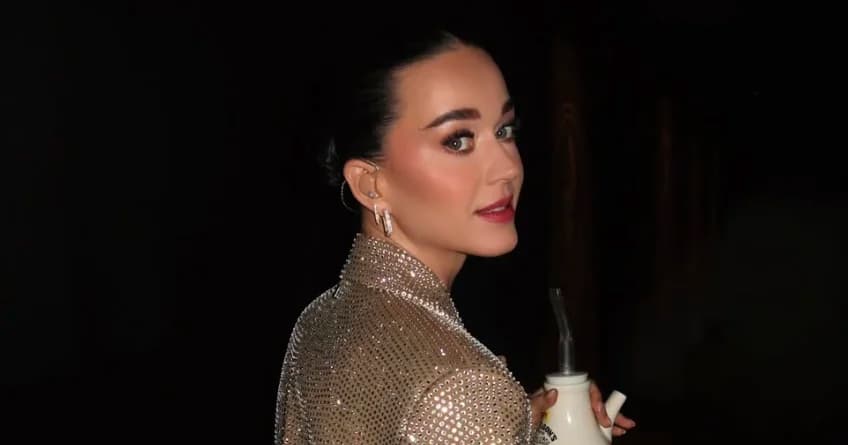 Katy Perry comparte como bloquear el financiamiento a ICE