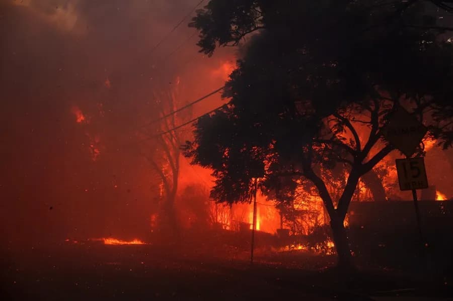Calor extremo e incendios en Los Ángeles