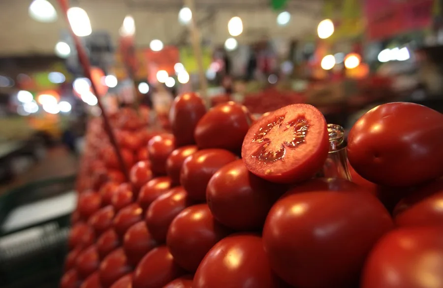 México mantendrá exportación de tomates pese a arancel