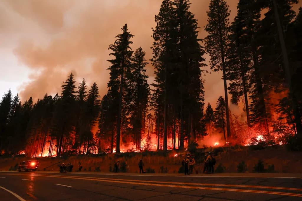 Advertencias de incendio extremo en EE.UU.: ¿Qué zonas están bajo riesgo?