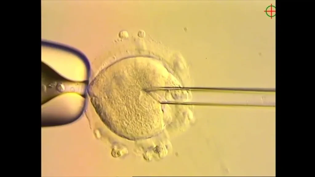 ¿Tres padres? Nacen bebés sanos con triple ADN
