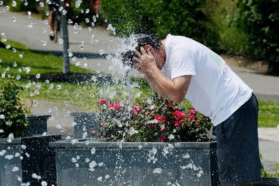 ola de calor pone en alerta