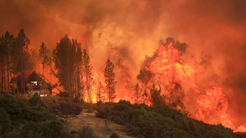 Incendio fuera de control en California: el calor no da tregua