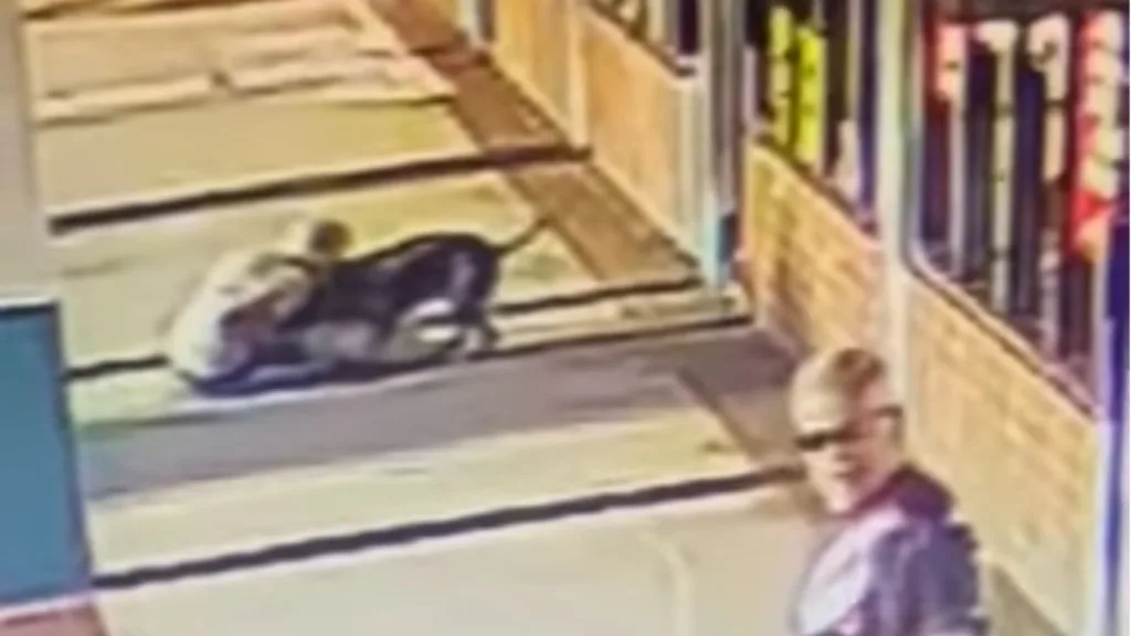 Mujer de 70 años muerde a pitbull para salvar a su perro