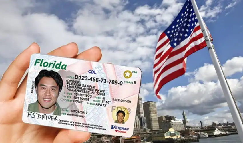 Florida: Licencias de conducir mostrarán estatus migratorio en 2027