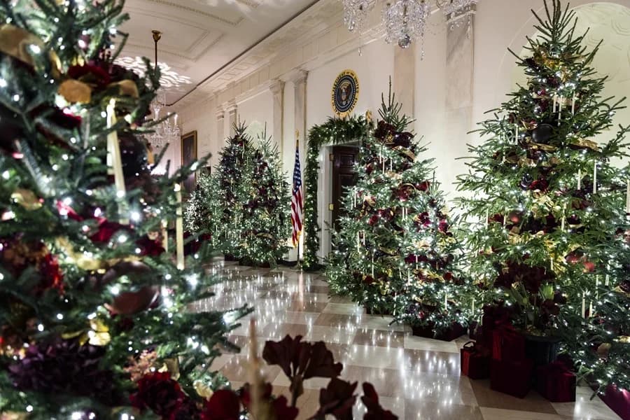 Melania llena la Casa Blanca con 51 árboles y retratos de Trump