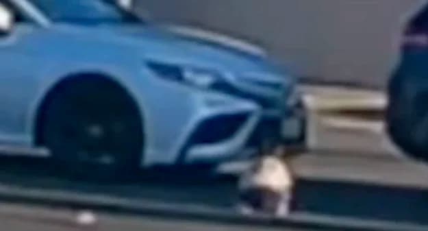 Milagro en California: bebé cae de auto en movimiento y sobrevive