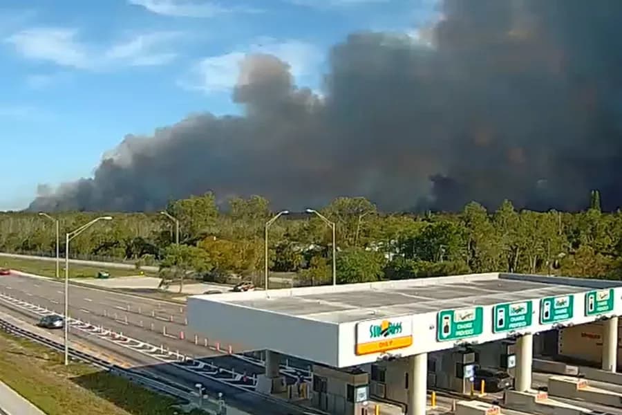 Incendio forestal afecta 141 hectáreas