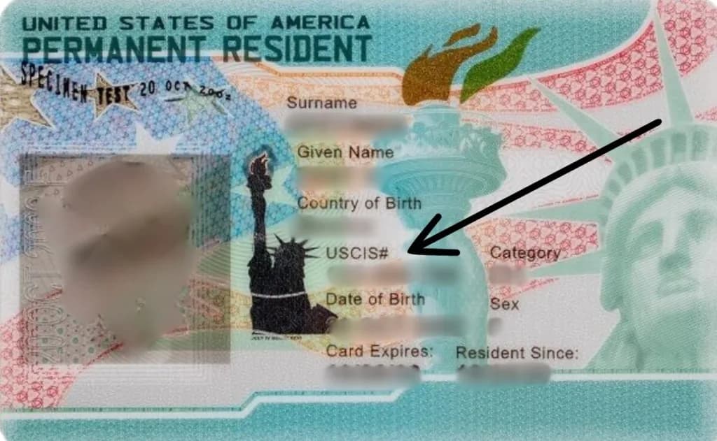 Número Alien: ¿Qué es el número de registro de extranjero?