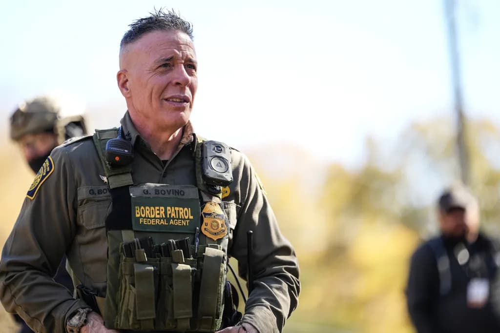 ley “Swamp Sweep”