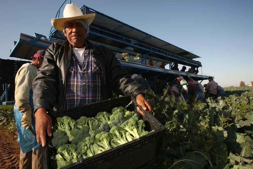 Empleos con salarios altos para inmigrantes en Estados Unidos