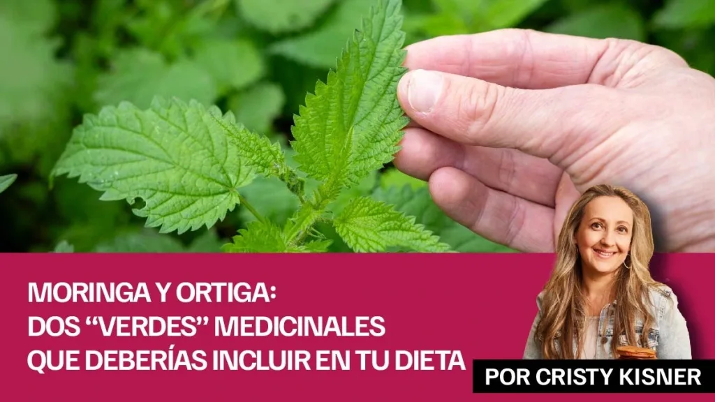 Moringa y ortiga: Dos "verdes" medicinales que deberías incluir en tu dieta
