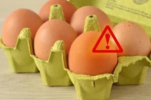FDA Alert: Egg Brands Affected by Salmonella