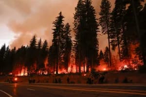 Seguro estatal contra incendios de California ya cubre 696,000 propiedades