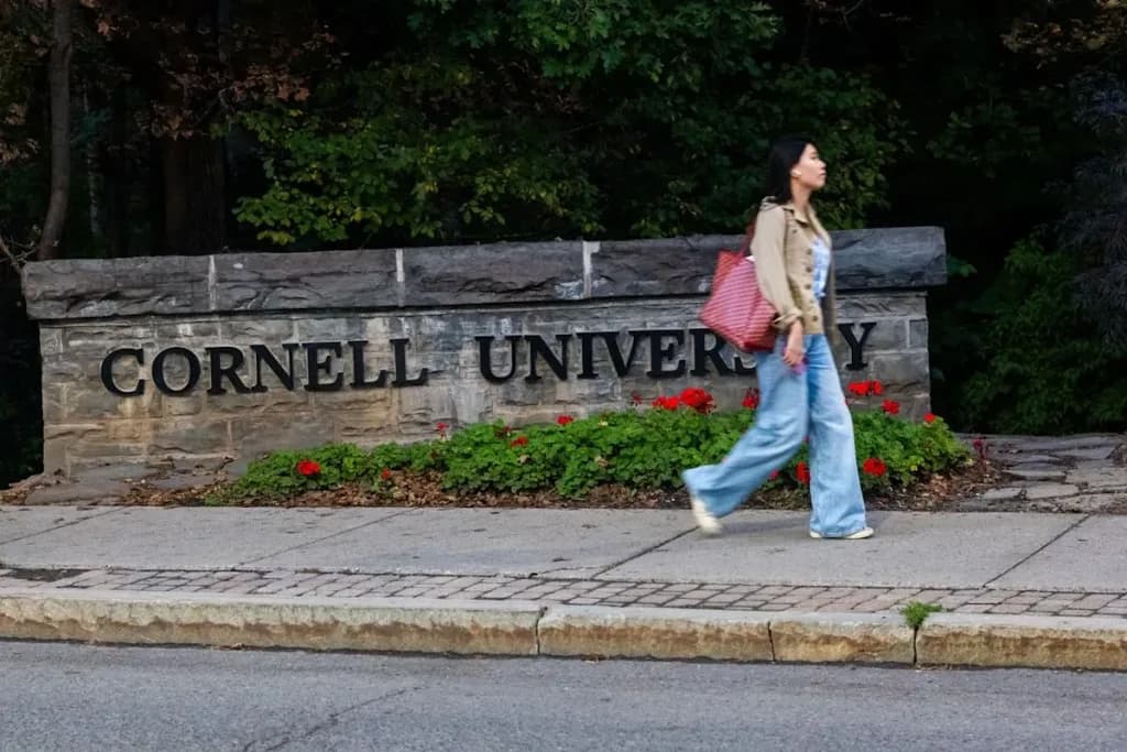¿Un vacío legal en Nueva York impidió cargos en el caso de Cornell?